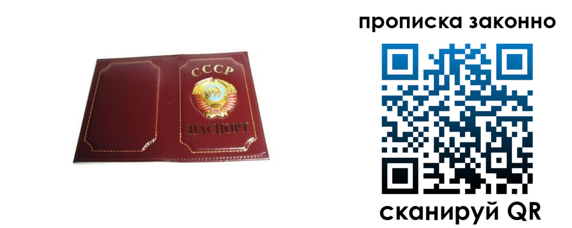 прописка законно в Беломорске